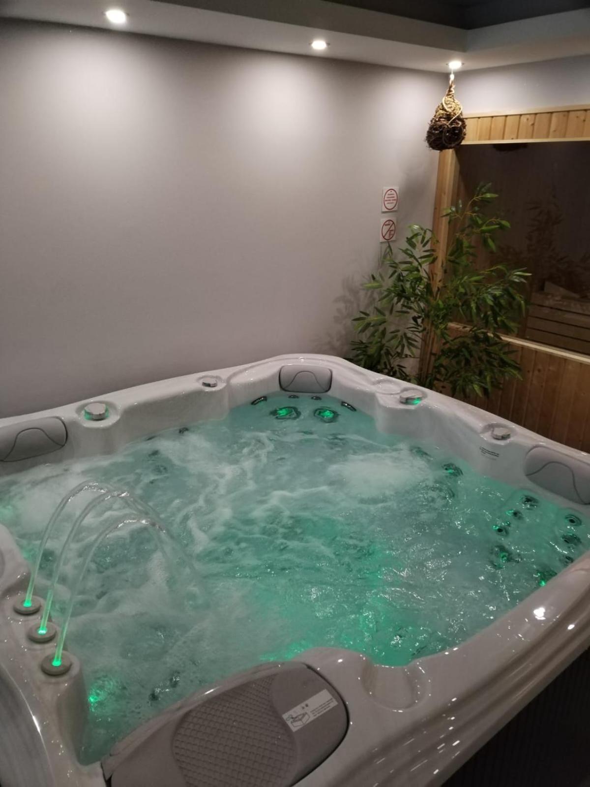 Villa Spa Magic Тухельске-Топлице Экстерьер фото