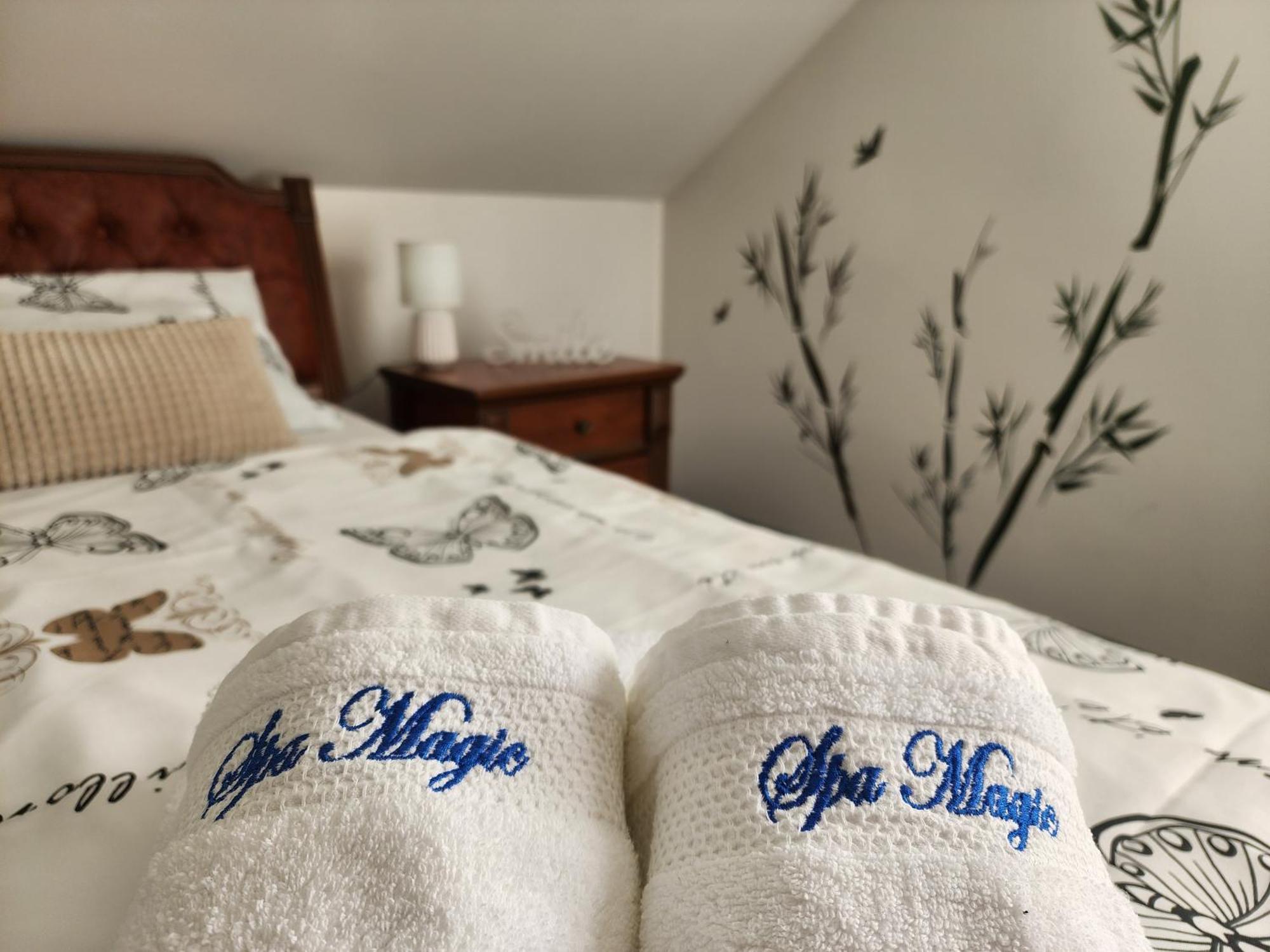 Villa Spa Magic Тухельске-Топлице Экстерьер фото